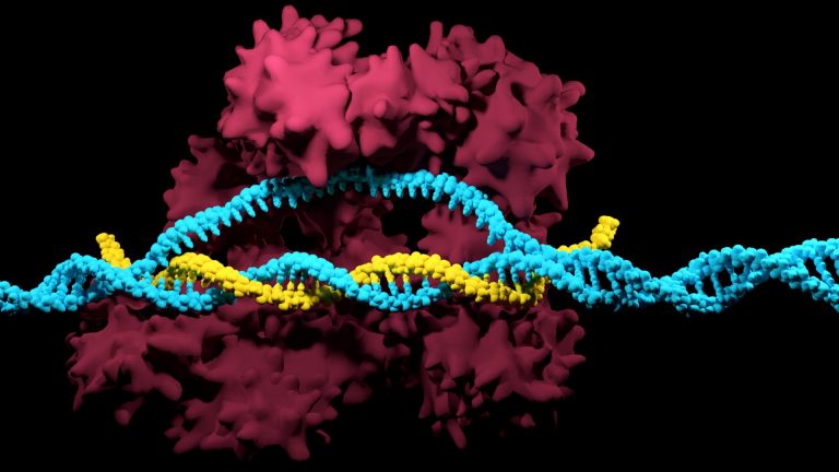 Cutting-Edge Developments in Biotechnology: Gene Editing and Its Applications